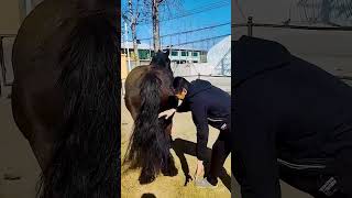 You Have To Be Diligent To Keep These Things Alive