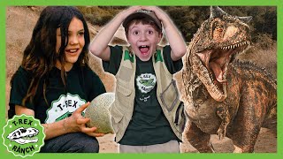 Mystery Dinosaur Egg at TRex Ranch?!  | TRex Ranch Dinosaur Videos