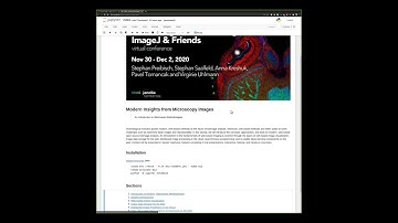 I2K 2020: Modern Insights from Microscopy Images: An Introduction to Web-based Methodologies