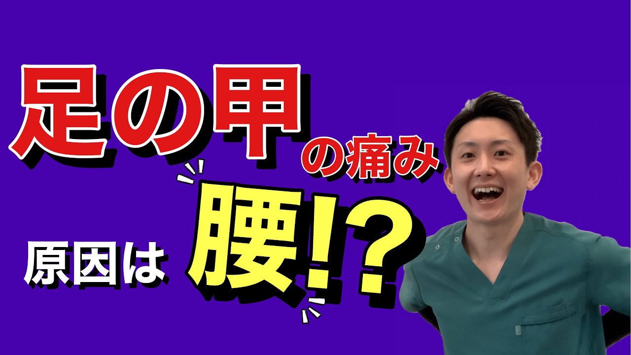 足の甲の痛みは腰からきていた!? 原因から解決するストレッチ方法とは | 大阪府 高槻市 ユーカリ整体院