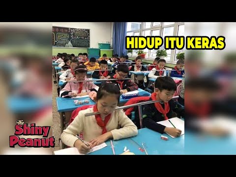Kebayang Gak Sekolah Kaya Gini? Inilah Alasan Kenapa Orang Asia Itu Kuat