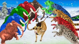 Ten Zombie Mountain Leopards Vs Giant Bull Rescue Saved by Mammoth Elephant Animal Revolt Battle