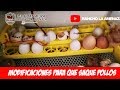 Resultados de la Incubadora automática 48 huevos