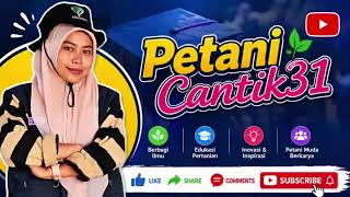 Tutorial Lengkap Penginputan Nilai di Web Monev UMPAR | Panduan Dosen FAPETRIK UMPAR