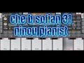 Cheb Sofian 31 Nino Pianist عمري حسني عوني 