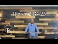 1 Peter 2:13-25