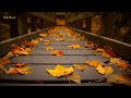 Karen Homayounfar  ❤ 🇮🇷🌷💕 Wooden Bridge