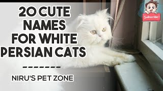 20 CUTE NAMES FOR WHITE PERSIAN CATS IN 2021😍❤|NIRU'S PET ZONE by Niru's Petzone 21,448 views 3 years ago 2 minutes
