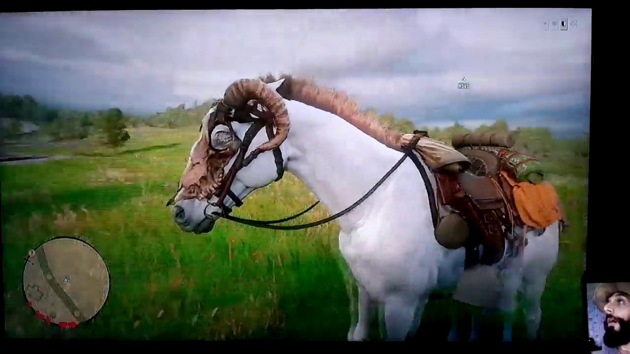 O DOMADOR DE CAVALOS - Em busca do CAVALO DA NEVE, o melhor cavalo do jogo  - Red Dead Redemption 2 