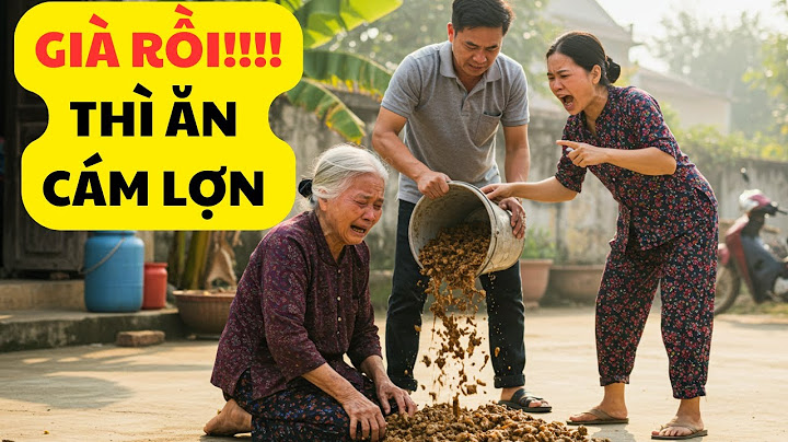 👉 “Con Dâu Cho Mẹ Chồng Ăn Cám Lợn – Cái Kết Khiến Ai Cũng Khóc”