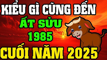 Tuổi Ất Sửu 1985 Rất Nhiều Việc Xảy Ra Trong Suốt Cuối Năm 2025, Chú Ý 8 Điều Này !