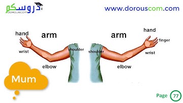 English 2 AM / sequence 3 / I listen and do : Tasks 1 and 2 / page 77