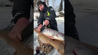 fishing | #funny #рыбалканаозере #shortsfeed #fishing #shorts