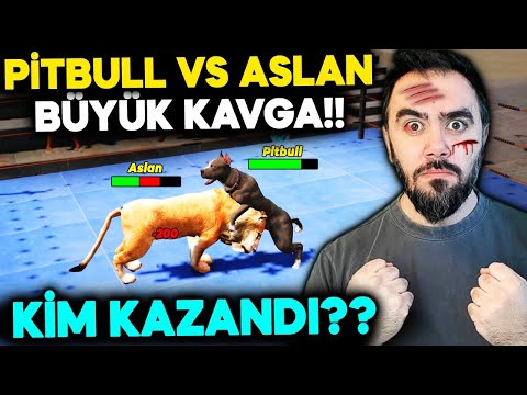 BUNA YÜREK DAYANMAZ!!! KÖPEK KAFES DÖVÜŞÜ YAPTI - GTA 5 MODS