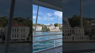 Cruise in Istanbul #mosque #boat #tour
