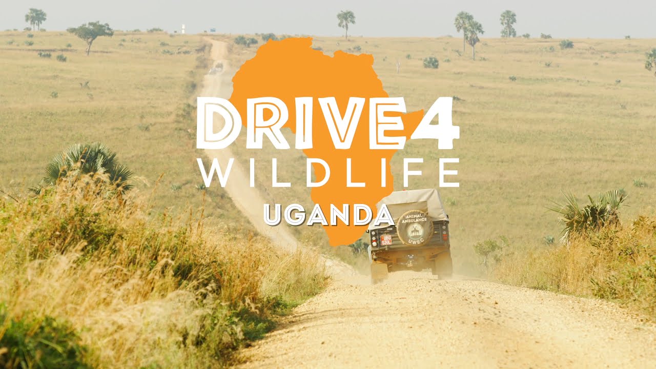 A Conservation Mission in Uganda! - Drive 4 Wildlife