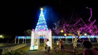 臺中市東勢區 “聖誕樹雪花飄”