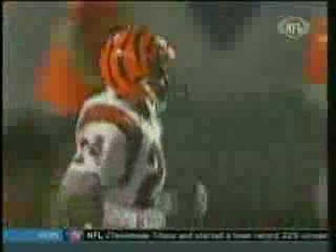 Bengals' Lewis Billups drops interception in 1988 SuperBowl