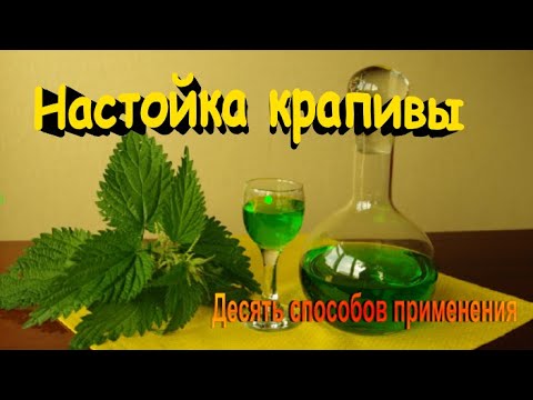 Десять способов применения настойки крапивы