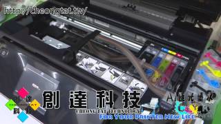 EPSON Expression Premium XP 701 連供改裝後打印範例 採用AI極光 EPSON T255墨盒機種 專用染料墨水 20131111
