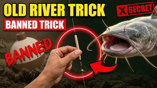 Stop Using Bobbers Like This — The 1 Mistake Killing 80% of Your Bites Avoid These Mistakes When Using Cut Bait Easy 3 Minute Fix