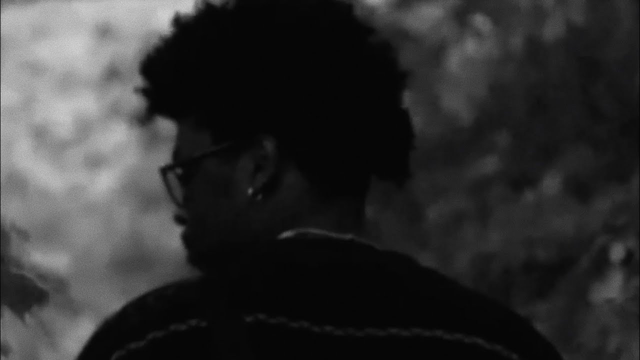 Watch Monroe Jordan - tree top on YouTube Watch Monroe Jordan - tree top on YouTube