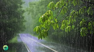 Fall into DEEP HEALING Sleep with Heavy Rainstorm & Powerful Thunder Sounds on Tropical Rainforest by Natureza Relaxante 13,260 views 3 weeks ago 11 hours, 30 minutes