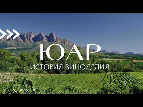Краткая история виноделия ЮАР
