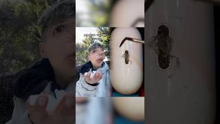 Clasico de papa rata #shorts#funny#music