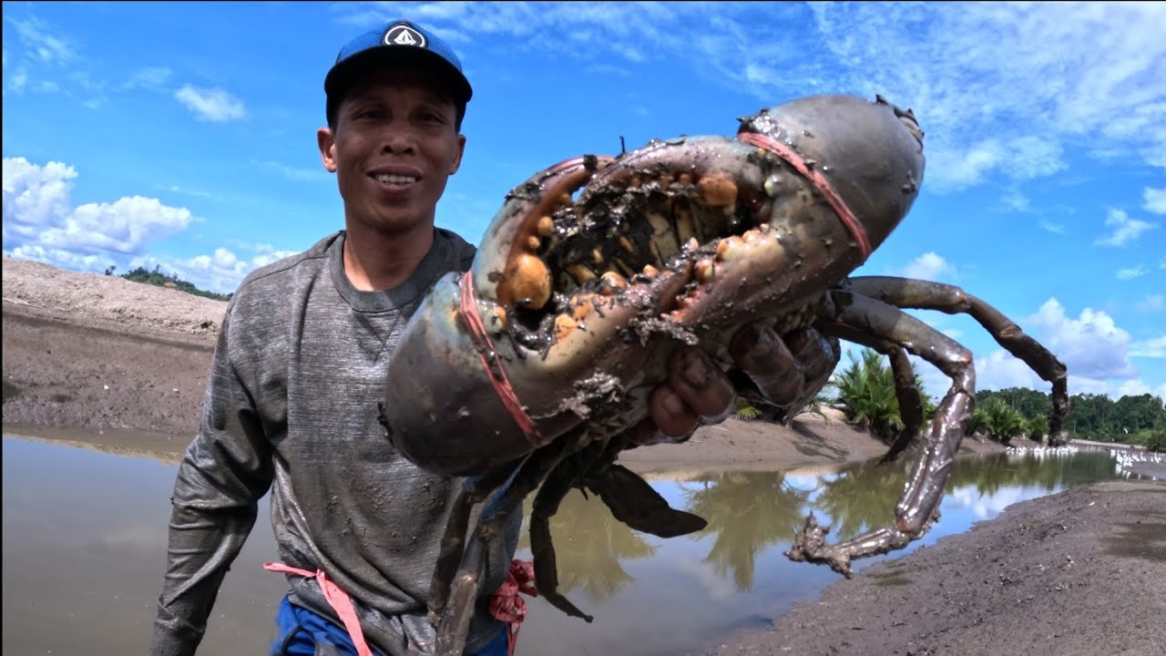 A GREAT CRAB HUNTER CATCHES A HUGE CRAB ON AN ISLAND #fishing #Kingcrab