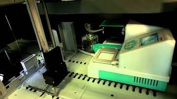 Colony picking - fully automated screening of fungi