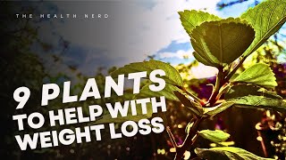 9 Plants to Help With Weight Loss