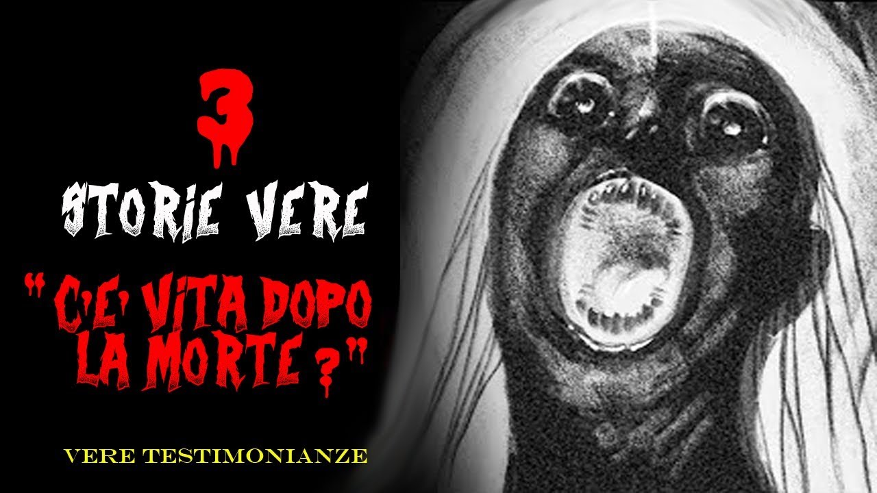 C è Vita Dopo La Morte Le Prove
