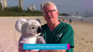 Gold Coast Beach Parade 2021 by Currumbin Wildlife Hospital 815 views 3 years ago 41 seconds