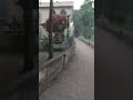 বাড়ির মসজিদ এবং কবরস্থান