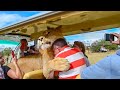 Fantastic lion hugged everyone heartily