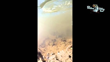 Vietnam fishing team