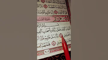Egzonibrahimi Quranrecitation اكسبلور راحة نفسية سورة الفيل كاملة مكتوبة 