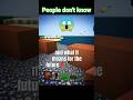 minecraft secrets #shorts