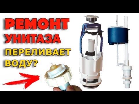 Видео: Куда переливается чаша?