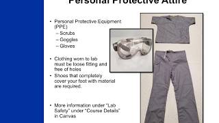 Personal Protective Attire - How to Dress for Lab