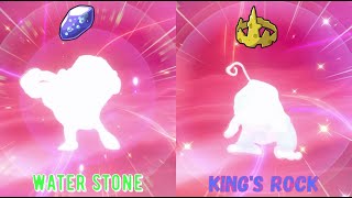 Two Shiny Poliwags - Two Different Fates (Pokémon Sword and Shield)