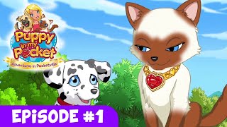 Štene U Mom Džepu Avanture U Pocketvilleu Ep1 - Ceremonija Prijateljstva