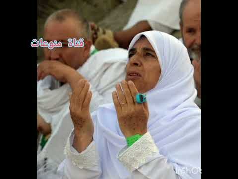 رايحه فين ياحاجه هلا رشدى
