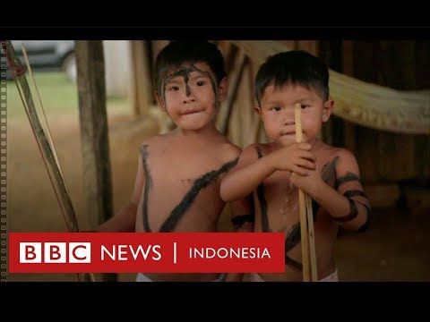 Hutan ditebang, suku Amazon ini hanya tersisa 120 orang - BBC News Indonesia