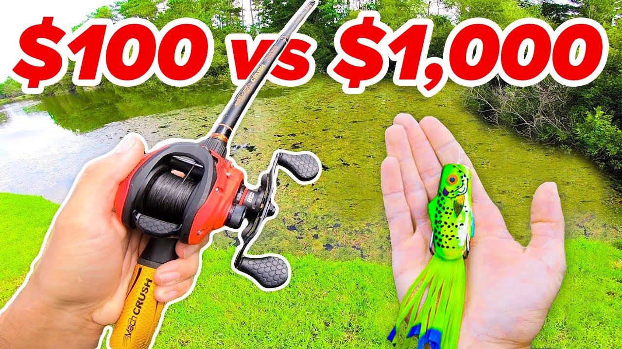 $100 vs $1,000 Budget Fishing Challenge (Rod, Reel, Lures) 