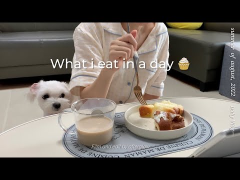 ᴅᴀɪʟʏ_ᴠʟᴏɢ | 우당탕탕 한 끼 겨우 해결 | 요리 망함 • 티켓팅도 망함 • 되는거 없음 • 오늘 뭐 먹지 • 오늘 내가 먹은 것 • what i eat in a day