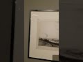 st Pete art museum
