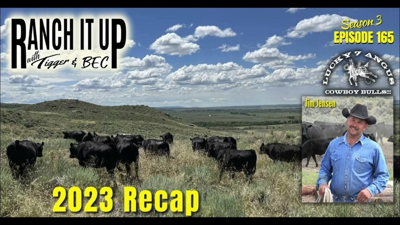 This Is What Is Happening With The Agridime Cattle Ponzi Scheme YouTube