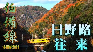 【鉄道のある風景】JR伯備線 色づく峰々 日野路往来 (14-Nov-2021)